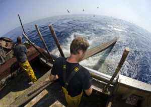 trawler fishermen by Mathieu Foulquié 